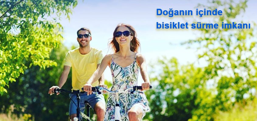 Hizmet Galerisi